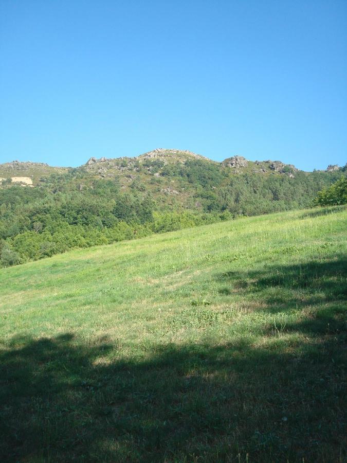 Casa Do Palheiro Villa Montalegre Ngoại thất bức ảnh